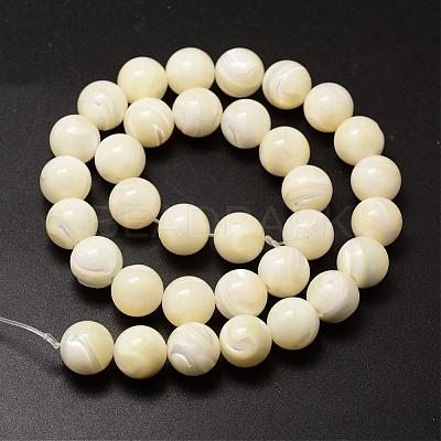 Natural Sea Shell Beads Strands SSHEL-K013-12mm-A-1