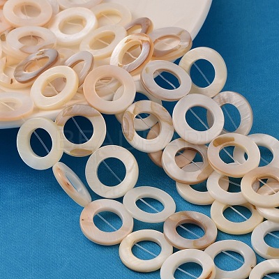 Natural White Shell Beads Strands X-PBB-XXBK014Y-13-1