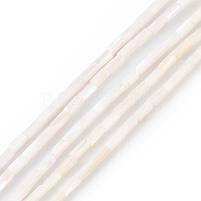 Natural Freshwater Shell Dyed Beads Strands SHEL-M018-11-12-1