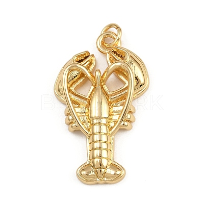 Brass Pendants KK-C116-01C-G-1