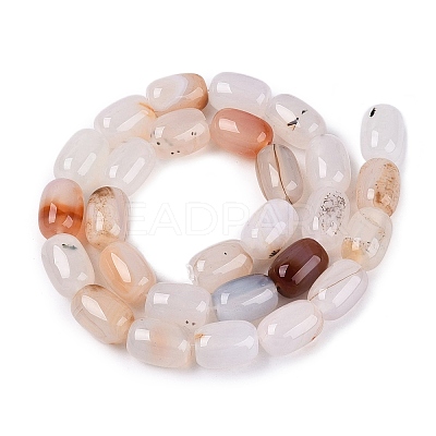 Natural Agate Beads Strands G-N356-02B-13-1