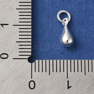 925 Sterling Silver Charms STER-M120-01C-S-1