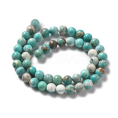 Natural Magnesite Beads Strands G-L555-02C-02-1