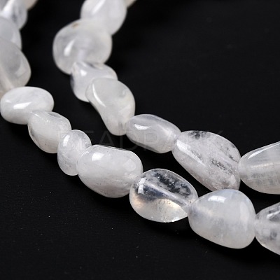 Natural Rainbow Moonstone Beads Strands G-G018-48-1
