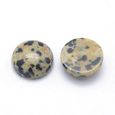 Natural Dalmatian Jasper Cabochons X-G-P393-R33-12mm-1