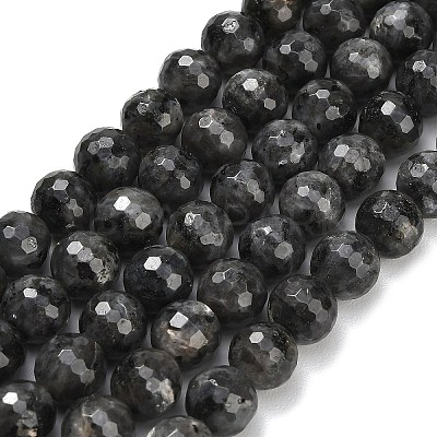 Natural Larvikite Beads Strands G-C280-B06-10mm-1