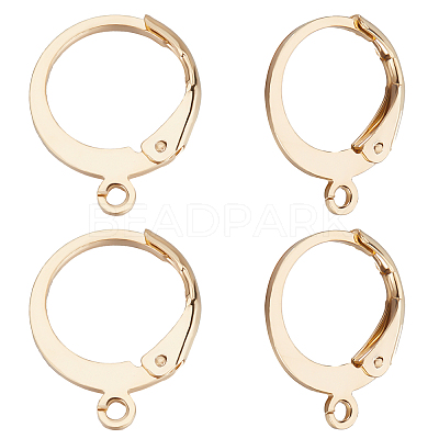 100Pcs 304 Stainless Steel Leverback Earring Findings STAS-BBC0002-03-1