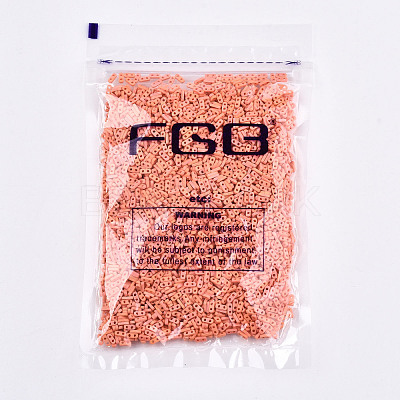 FGB 2-Hole Glass Seed Beads X-SEED-S031-S-SQ50FR-1