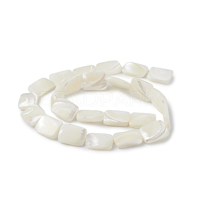 Natural Trochid Shell/Trochus Shell Beads Strands BSHE-G033-01-1