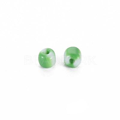 8/0 Glass Seed Beads SEED-S006-34-1