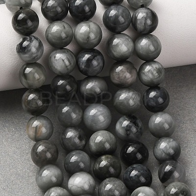 Natural Hawk's Eye Beads Strands G-L478-03-8mm-01-1