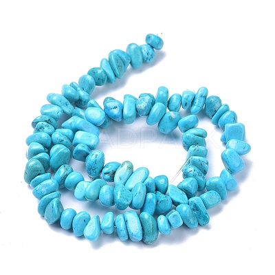 Natural Magnesite Beads Strands TURQ-P001-02A-02-1