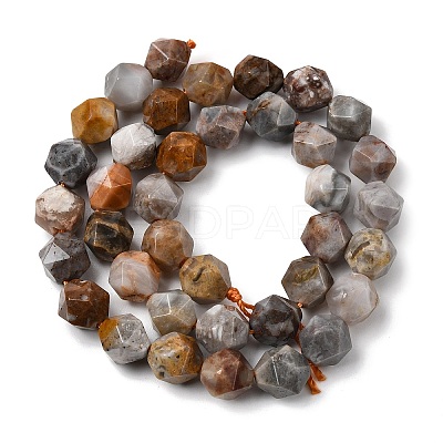 Natural Gobi Agate Beads Strands G-Z119-A36-03-1