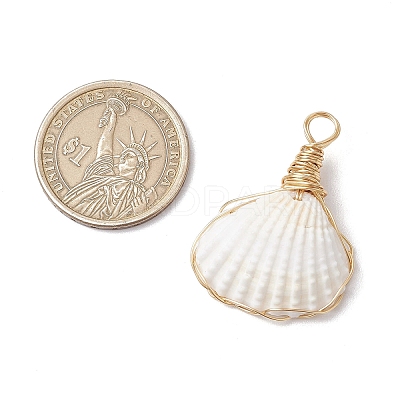 Copper Wire Wrapped Natural Shell Pendants PALLOY-JF03494-1