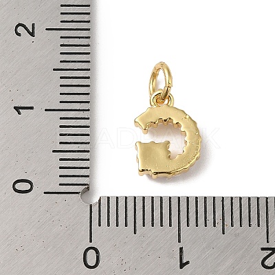 Rack Plating Brass with ABS Plastic Imitation Pearl Charms KK-B092-30G-G-1