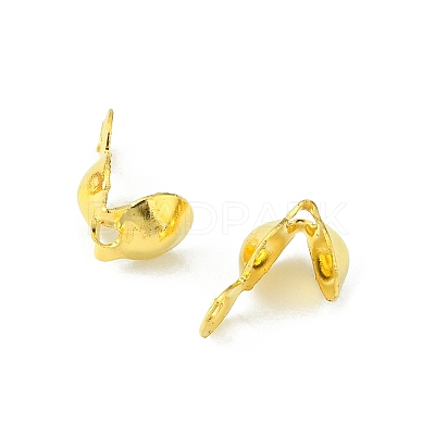 Iron Bead Tips IFIN-YW0001-50G-1