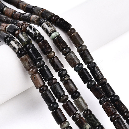 Natural Biotite Beads Strands G-N346-03A-02-1