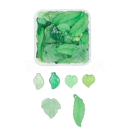 60Pcs 6 Style Transparent & Frosted & Opaque Acrylic Pendants FACR-YW0001-01-1