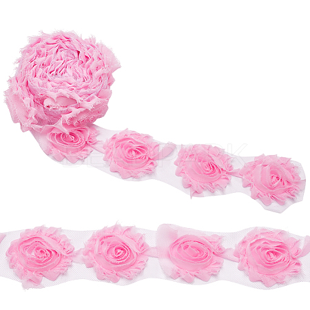 Polyester Lace Ribbons OCOR-WH0082-213C-1