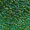 6/0 Inside Colours Fringe Glass Seed Beads X1-SEED-A034-03G-3