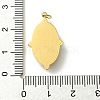 Ion Plating(IP) 304 Stainless Steel Pave Faceted Natural Tiger Eye Pendants FIND-Z028-40C-3