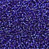 MIYUKI Delica Beads SEED-X0054-DB0047-3
