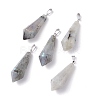 Natural Labradorite Pointed Pendants G-I314-02P-02-1