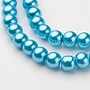 Glass Pearl Beads Strands X-HY-6D-A64-2