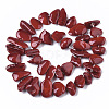 Spray Painted Natural Freshwater Shell Beads Strands X-SHEL-S276-68A-2