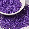 12/0 Transparent Glass Seed Beads SEED-F003-03C-09-1