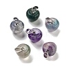 Natural  Fluorite Teacher Apple Charms G-Z022-02A-P-1