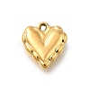 304 Stainless Steel Charms STAS-R159-40G-01-1