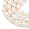 Natural Cultured Freshwater Pearl Beads Strands PEAR-D003-01D-14-4