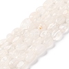 Natural Quartz Crystal Beads Strands G-G146-A29-01-1