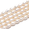 Natural Cultured Freshwater Pearl Beads Strands X-PEAR-Q006-02-1