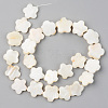 Natural Freshwater Shell Beads Strands SHEL-S276-84-2