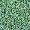 TOHO Round Seed Beads SEED-XTR11-PF0570-2
