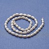 Natural Cultured Freshwater Pearl Beads Strands PEAR-P060-27B-2