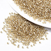 Glass Seed Beads SEED-S042-04A-05-1