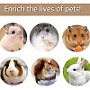 Natural Wood Hamster Chew Toys AJEW-WH0114-43-5