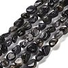 Natural Iolite Beads Strands G-P497-01E-35-1