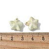 Natural Rainbow Alashan Agate Charms G-G194-02C-3