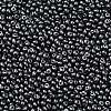 6/0 Glass Seed Beads X1-SEED-L011-08A-10-3