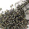 TOHO Round Seed Beads X-SEED-TR08-0757-1