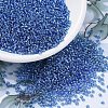 MIYUKI Round Rocailles Beads SEED-JP0008-RR0019-1