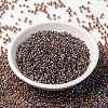 MIYUKI Round Rocailles Beads SEED-G008-RR0342-2