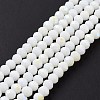 Electroplate Opaque Solid Color Glass Beads Strands EGLA-A044-P4mm-L01-2