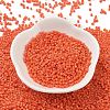 Baking Paint Glass Seed Beads SEED-S042-05B-84-2