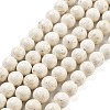 Natural Fossil Beads Strands G-H026-02A-1