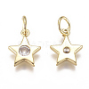 Brass Micro Pave Cubic Zirconia Charms ZIRC-F111-09G-08-2